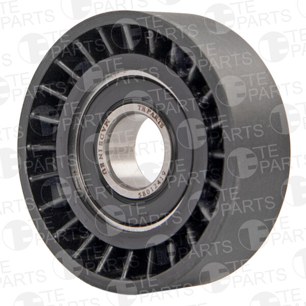 58012419 Ролик обводной (подшипник, SKF/NSK)