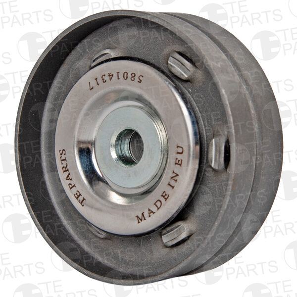 58014317 Ролик обводной (подшипник, SKF/NSK)