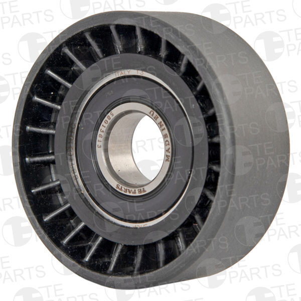 58015813 Ролик натяжителя (подшипник, SKF/NSK)