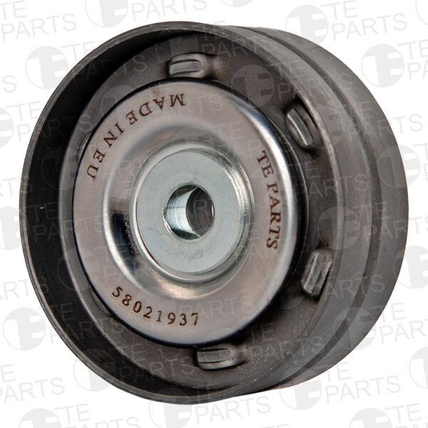 58021937 Ролик обводной (подшипник, SKF/NSK)