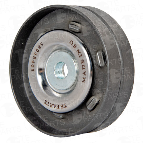 58038405 Ролик обводной (подшипник, SKF/NSK)