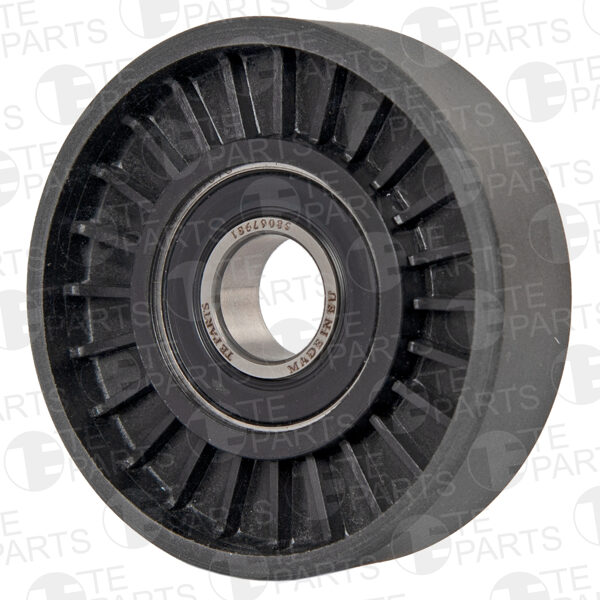 58067981 Ролик натяжителя (подшипник, SKF/NSK)