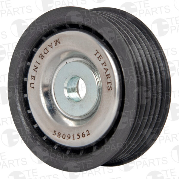 58091562 Ролик обводной (подшипник, SKF/NSK)